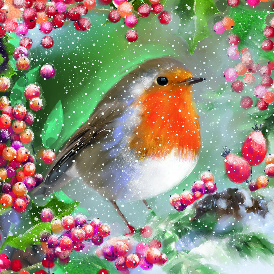 Christmas Cards - Robin