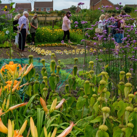 Help maintain our beautiful Hospice grounds